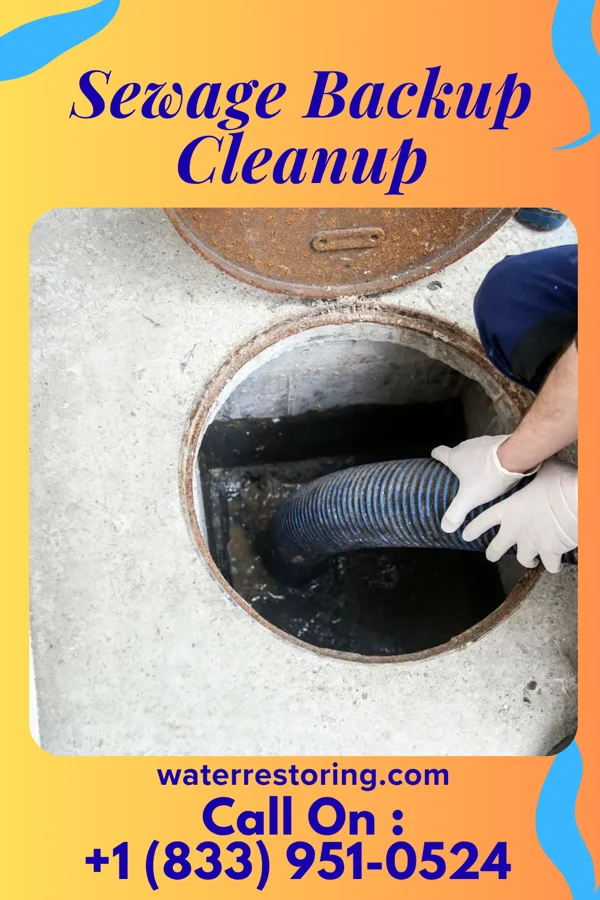 Sewage Backup Cleanup in Groton Long Point, CT